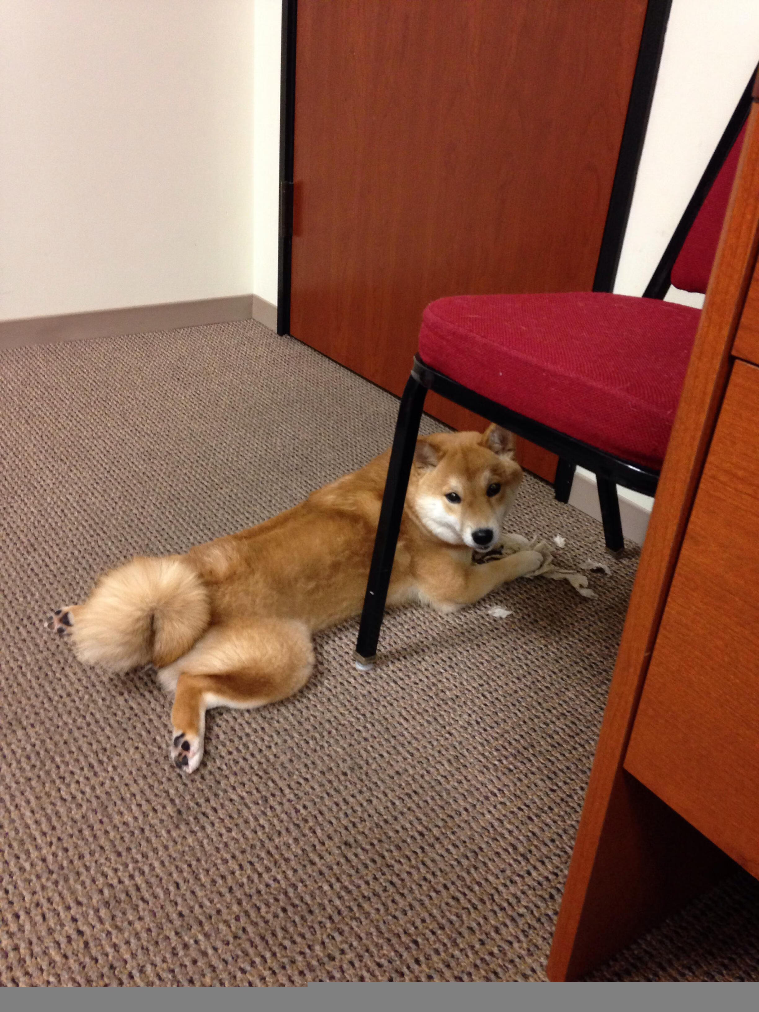 FB体育登录入口-WRC求胜之道:车手赛场心理战,wrc车手技术