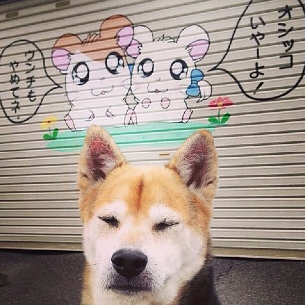 FB体育注册网址-_走进自然：沙滩网球对抗赛火热开启_，沙滩网球和普通网球区别