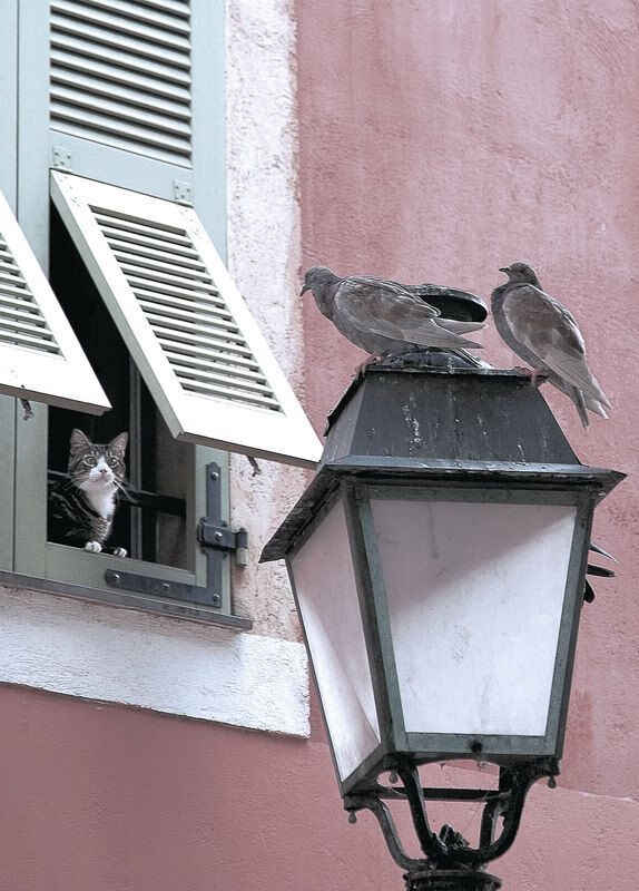 FB体育娱乐-世界排球锦标赛预选赛激战正酣,中国队稳步前进,排球世界锦标赛赛程时间安排