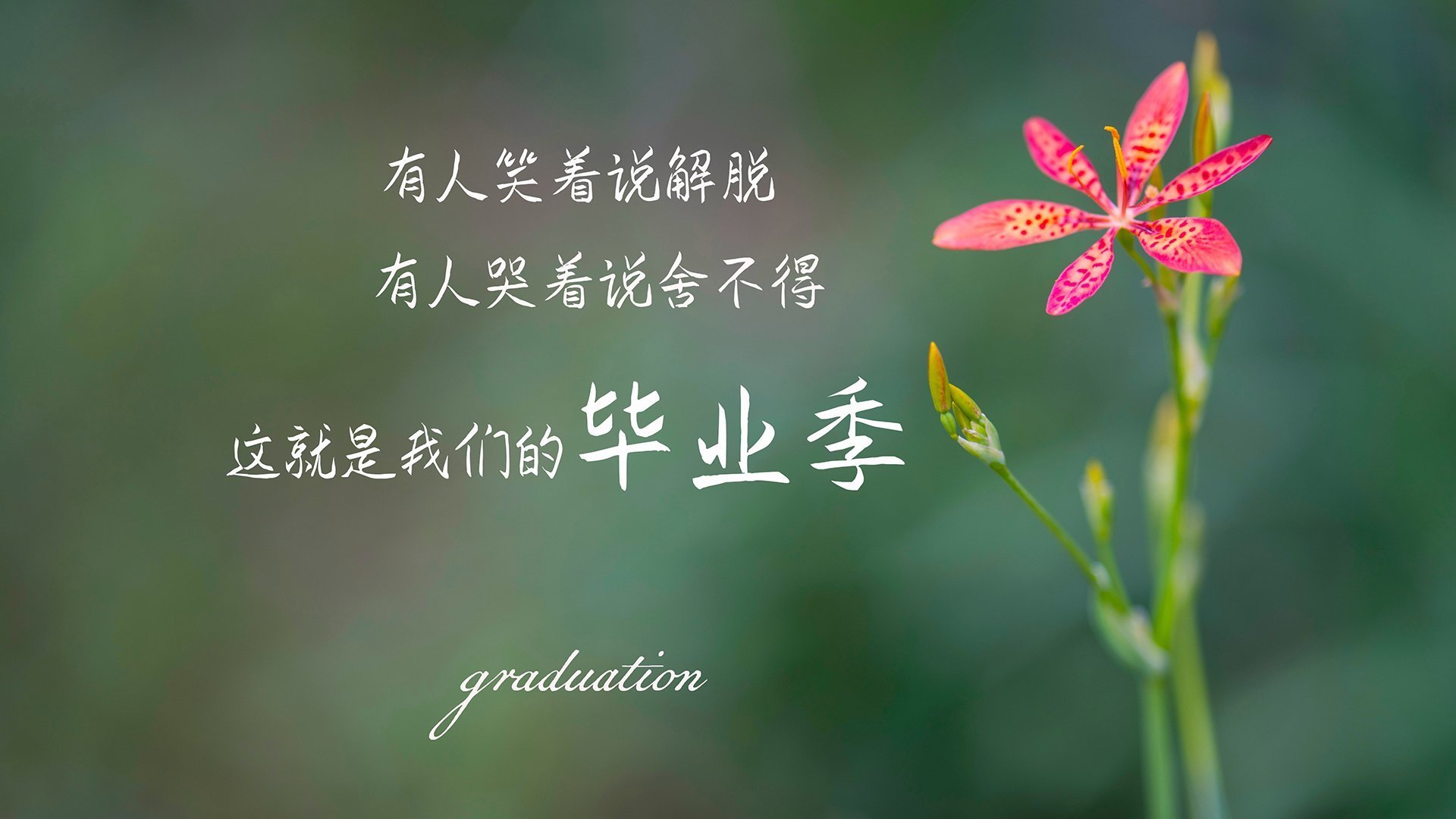 FB体育登录入口-大型漂流激流勇进，水上极速狂欢，水上漂流怎么玩