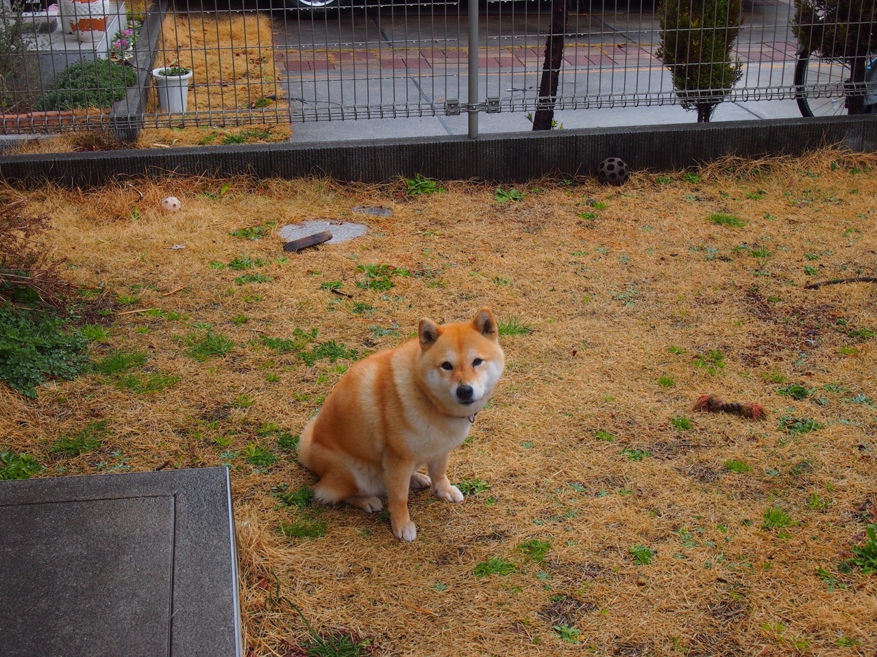 fb体育app官网-西班牙青少年骑手在世界青少年马术锦标赛中获得团体金牌,展现国家实力。