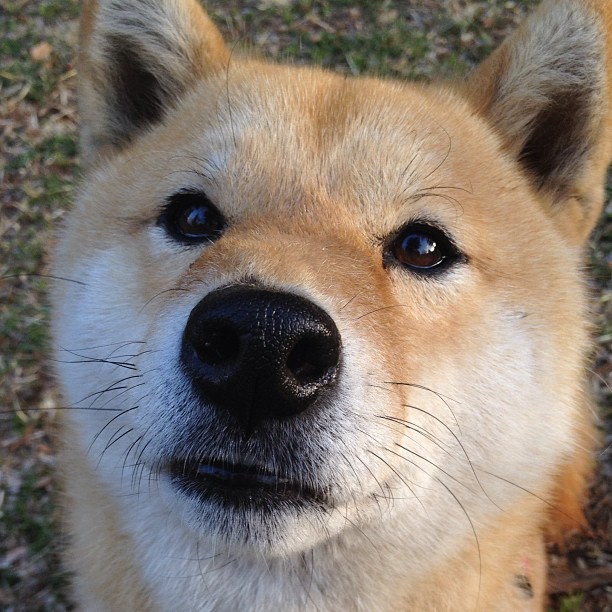 FB体育下载-CBA球员技艺精湛,赛场上的精彩瞬间感动全场,cba职业球员