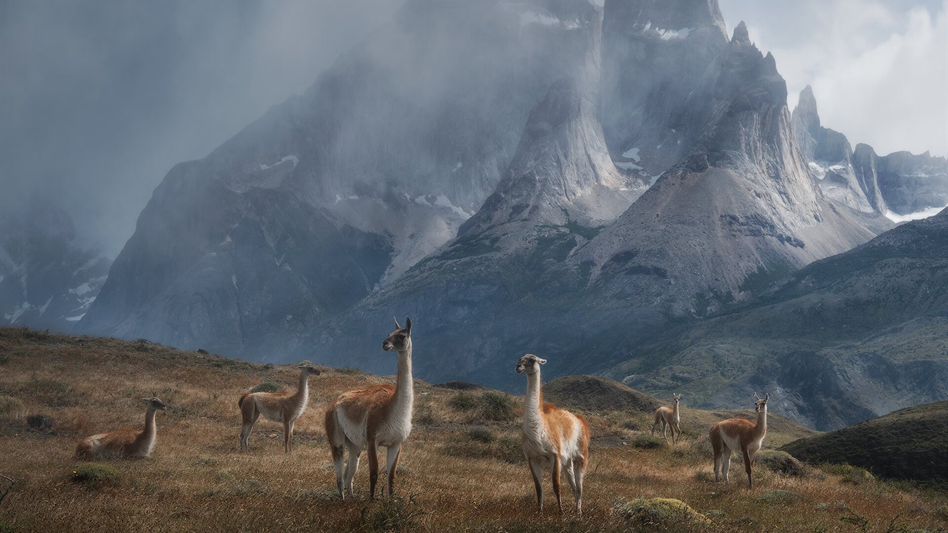 FB体育娱乐-CBA球队引援策略解析，cba规划外援