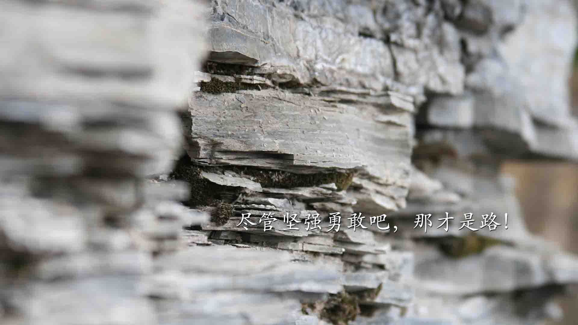 FB体育官网平台-G联赛球队阵容调整进行中,g联赛是什么