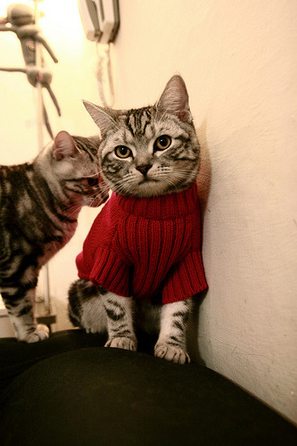 FB体育注册网址-中国足球赛事直播技术升级,中国足球直播视频直播