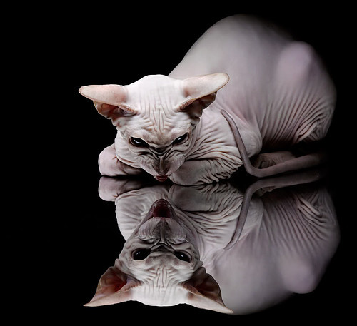 FB体育注册网址-国足备战国际大赛是否需要引入外部专家，国足要想进世界杯