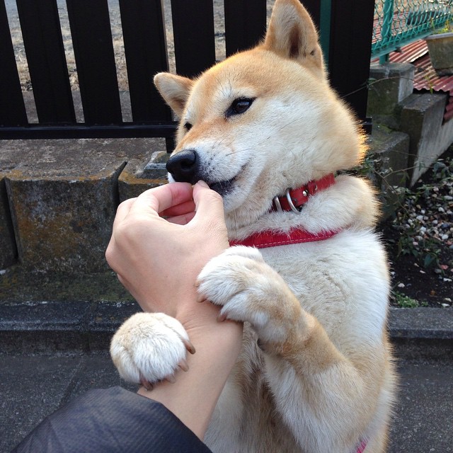 FBSPORTS-体育智能穿戴设备对运动表现的影响分析,智能穿戴设备的目的是什么