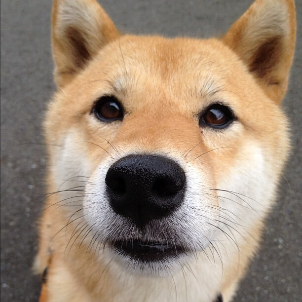 -体育产业技术创新平台，体育产业服务系统