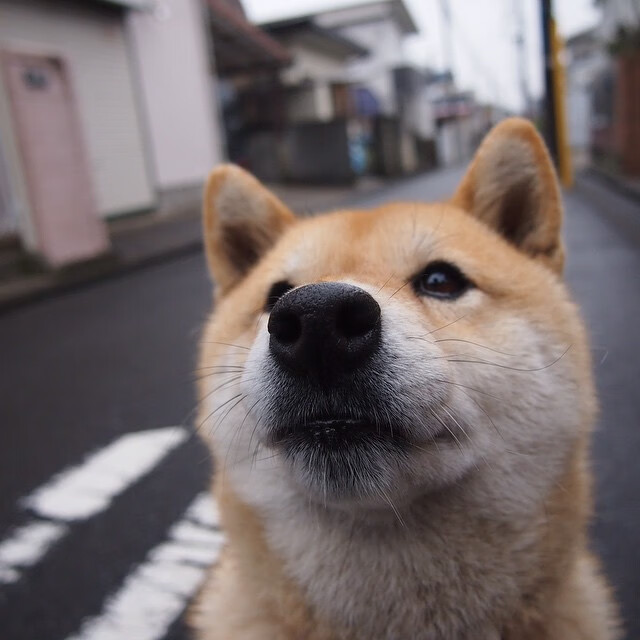 FB体育注册网址-新闻中心发布年度战略规划,战略部署会议新闻稿