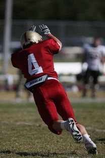 fb体育平台安全-法甲球队防守战术调整后定位球防守成功率提升分析，法国防守