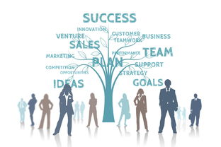 FB体育APP-高校体育专业发展趋势分析，高校体育工作发展规划