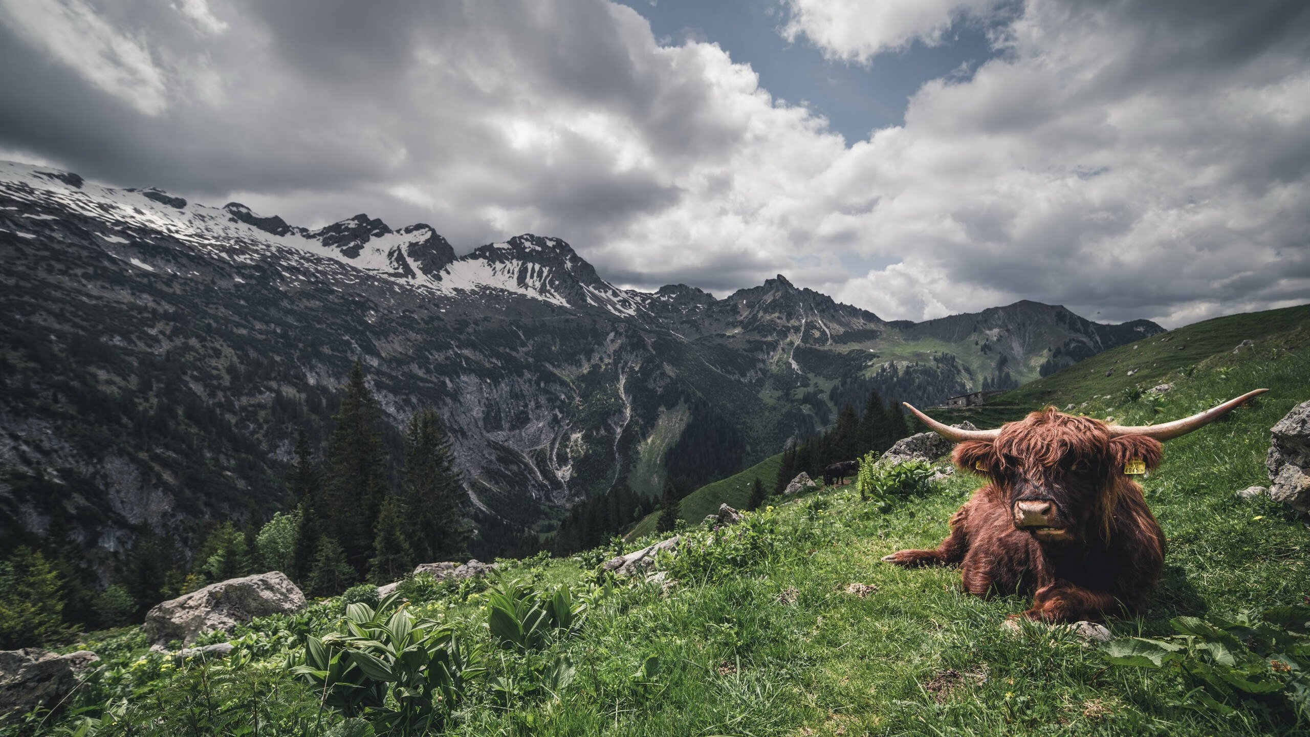 FB体育注册网址-中国三人女篮战术灵活 应对多变对手，中国三人女篮战术灵活 应对多变对手是谁