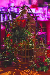 FB体育官方-中国体坛年度颁奖典礼群星闪耀,中国体坛风云人物典礼颁奖词