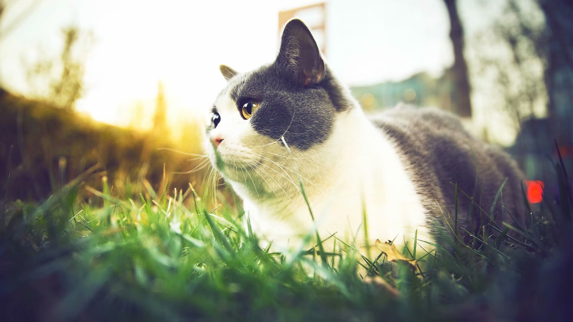 FB体育平台-中国女篮赛后团建增强凝聚力，中国女篮集体照片